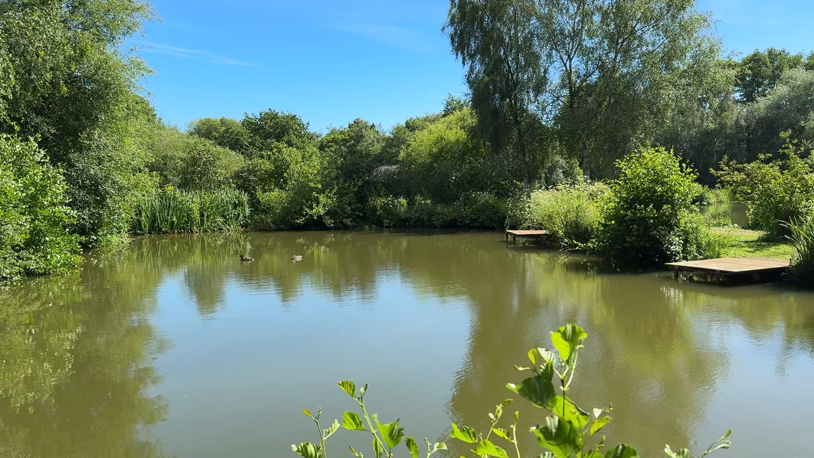 Kingfishers Canal - image 3