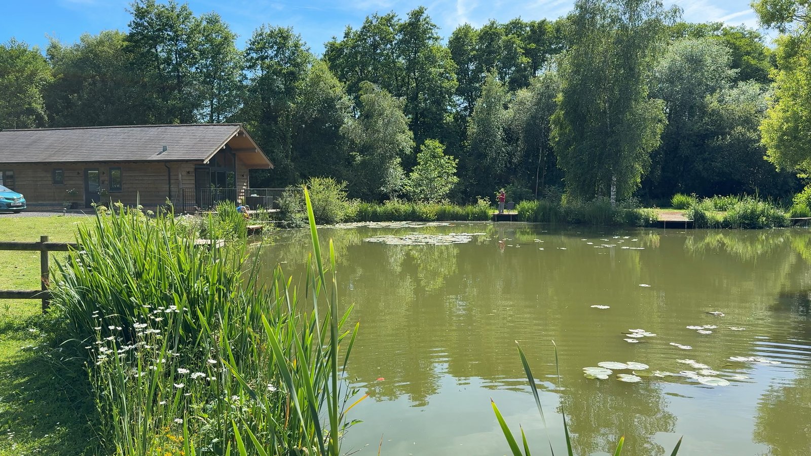 Lodge Lake - image 2